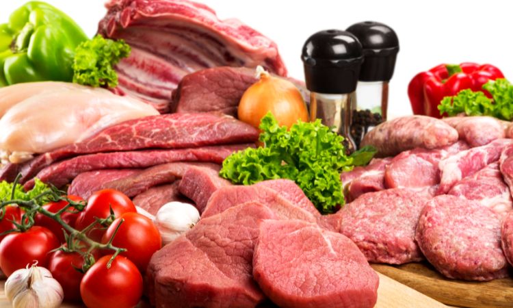 protein 